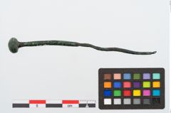 Foto von Bronzekugelkopfnadel (NHMW-PRAE-024527)